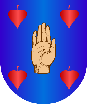 ESCUDO ALEATORIO